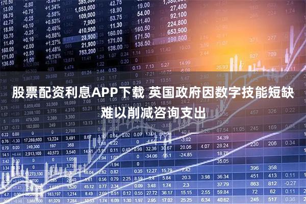 股票配资利息APP下载 英国政府因数字技能短缺难以削减咨询支出