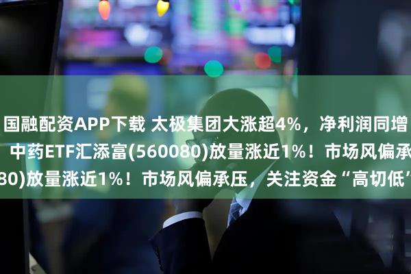 国融配资APP下载 太极集团大涨超4%，净利润同增352%！A股午后翻红，中药ETF汇添富(560080)放量涨近1%！市场风偏承压，关注资金“高切低”