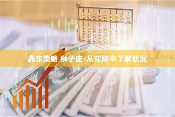 鼎东策略 狮子座-从实际中了解状况